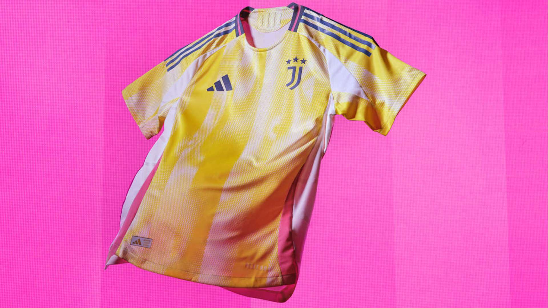 奇尼等教练 奇尼等教练